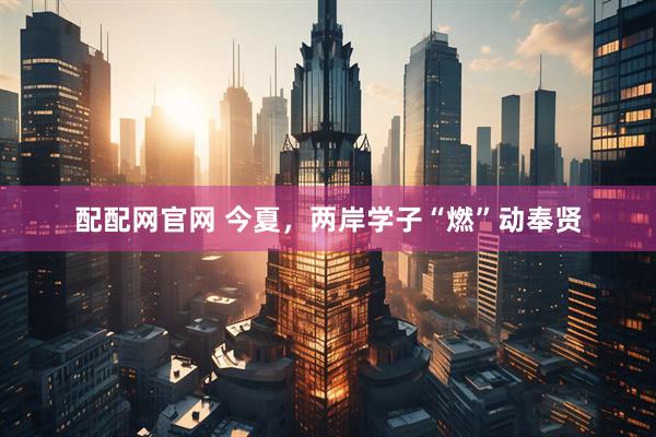 配配网官网 今夏，两岸学子“燃”动奉贤