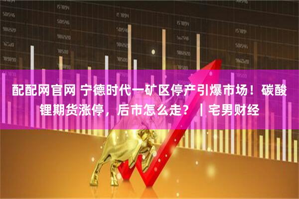 配配网官网 宁德时代一矿区停产引爆市场！碳酸锂期货涨停，后市怎么走？｜宅男财经