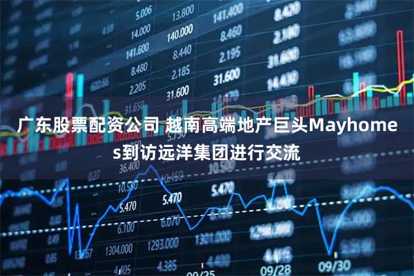广东股票配资公司 越南高端地产巨头Mayhomes到访远洋集团进行交流