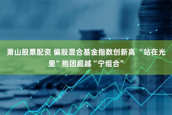 萧山股票配资 偏股混合基金指数创新高 “站在光里”抱团超越“宁组合”